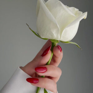 آموزش کاشت پودر