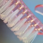 فرچه کاشت ناخن انگشتی - Image 3